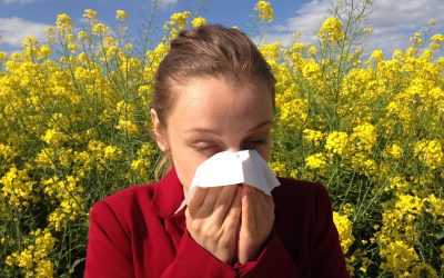 Are We in  Full Allergy  Season?